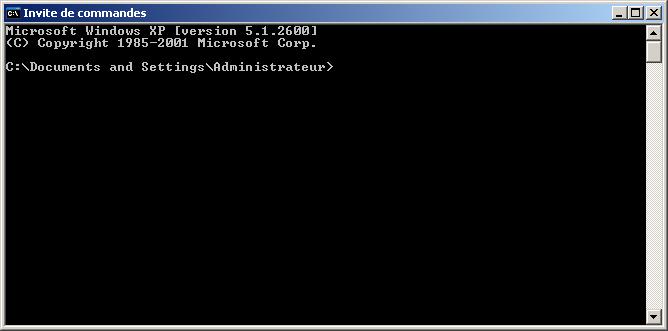 Windows terminal